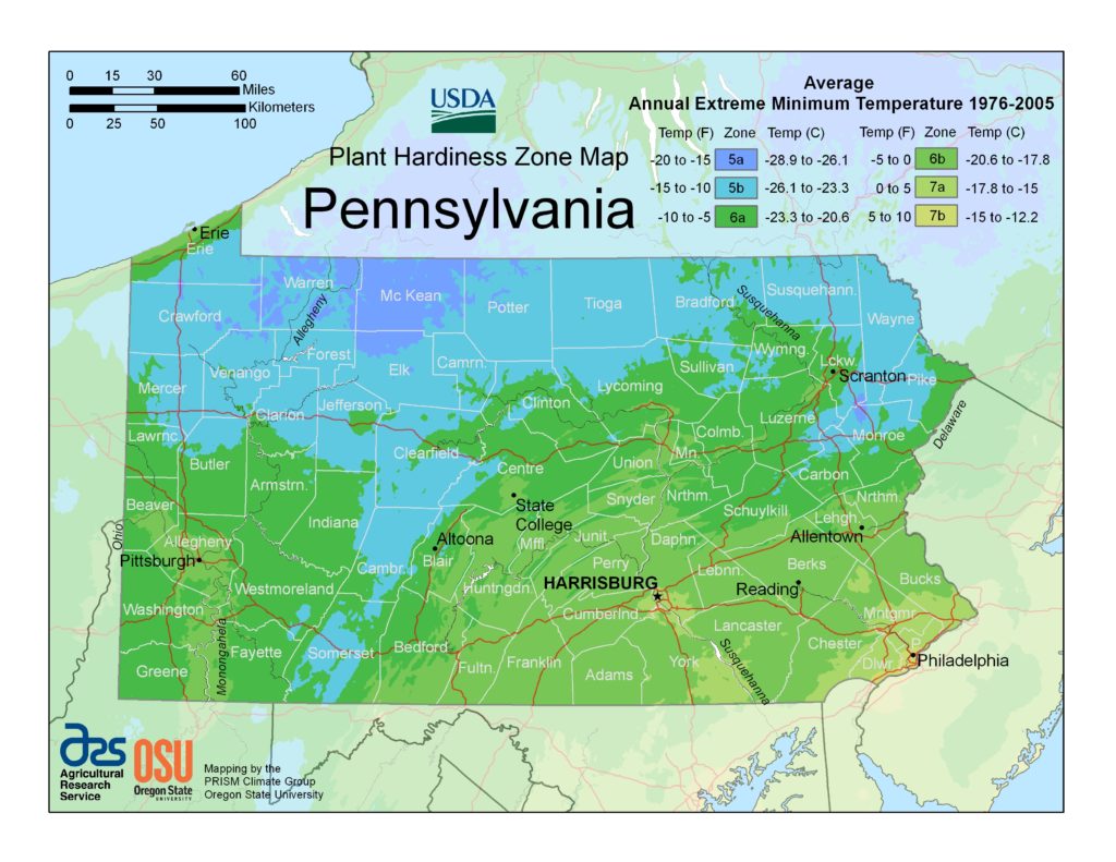 Plant hardiness zone map for Pennsylvania. The northern parts of the state are shown as zone 5 and the more southern parts are zone 6.